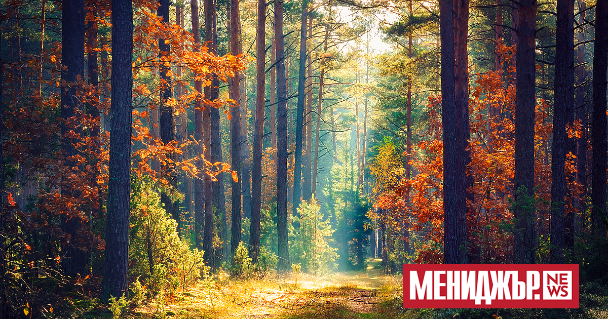 Със слънчево време и все още високи температури ще започне