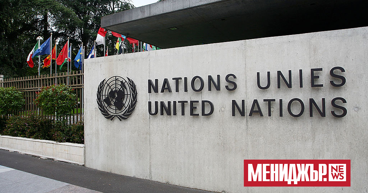 Организацията на обединените нации (ООН) заяви в четвъртък, че повечето