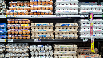 Южноафриканските търговски вериги въведоха ограничения върху продажбата на кокоши яйца