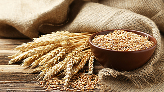 Цените на зърнените стоки по световните борси се понижават през седмицата показват