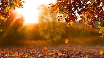Времето: Есента настъпва, ще бъде слънчево и топло