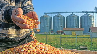 Министерският съвет ще разработва нов закон за търговията с аграрни стоки