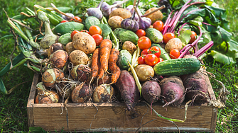 Спад в цената на зеленчуците на борсите в страната през