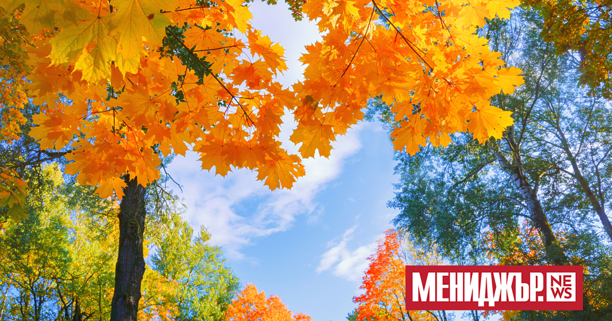Предимно слънчево и почти тихо ще е днес. Вятърът ще