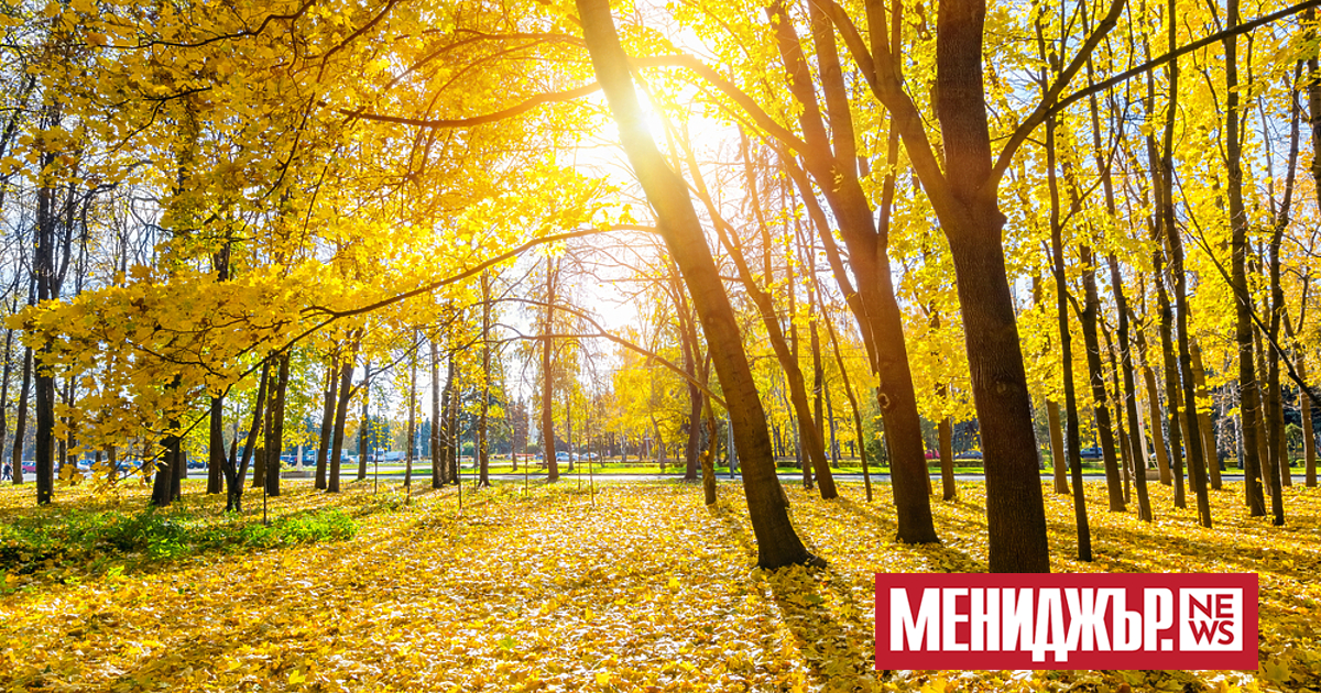 Предимно слънчево и с почти летни температури ще бъде и