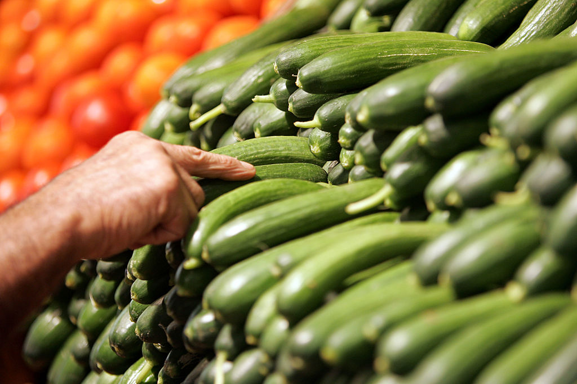 Цените на оранжерийните краставици тази седмица скачат с 27,2%