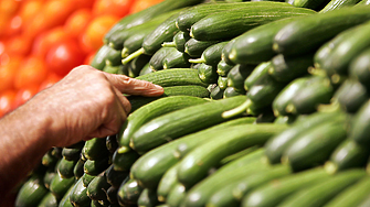 Цените на оранжерийните краставици тази седмица скачат с 27,2%