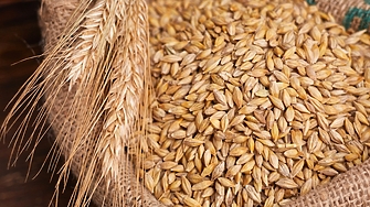 Промените в цените на основните зърнени стоки на световните борсови