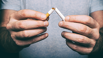 Разкриха нелегален внос на огромно количество цигари без бандерол