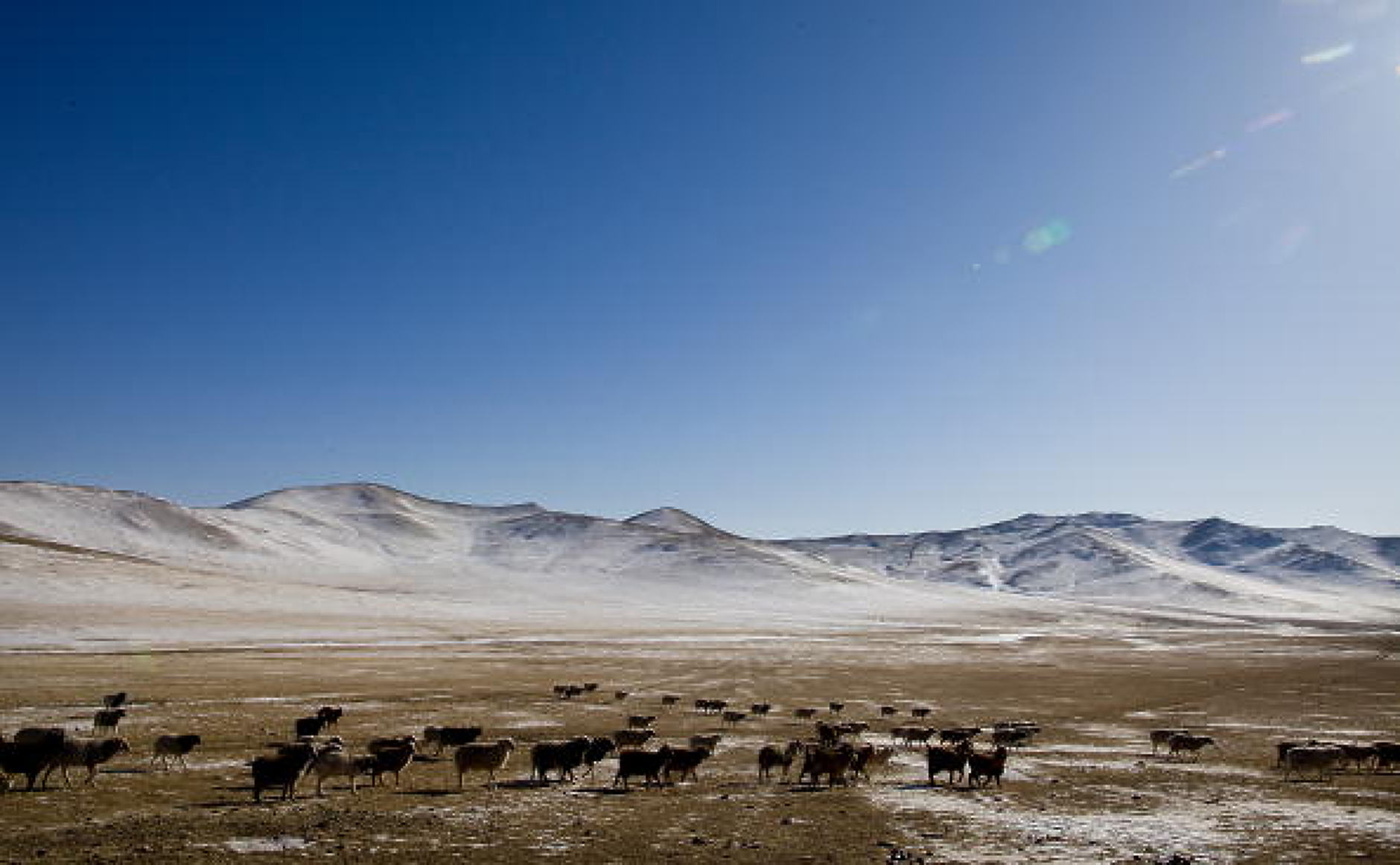Монголия се похвали с 1 млрд. долара приходи от чуждестранни туристи