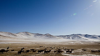 До началото на ноември тази година икономиката на Монголия е