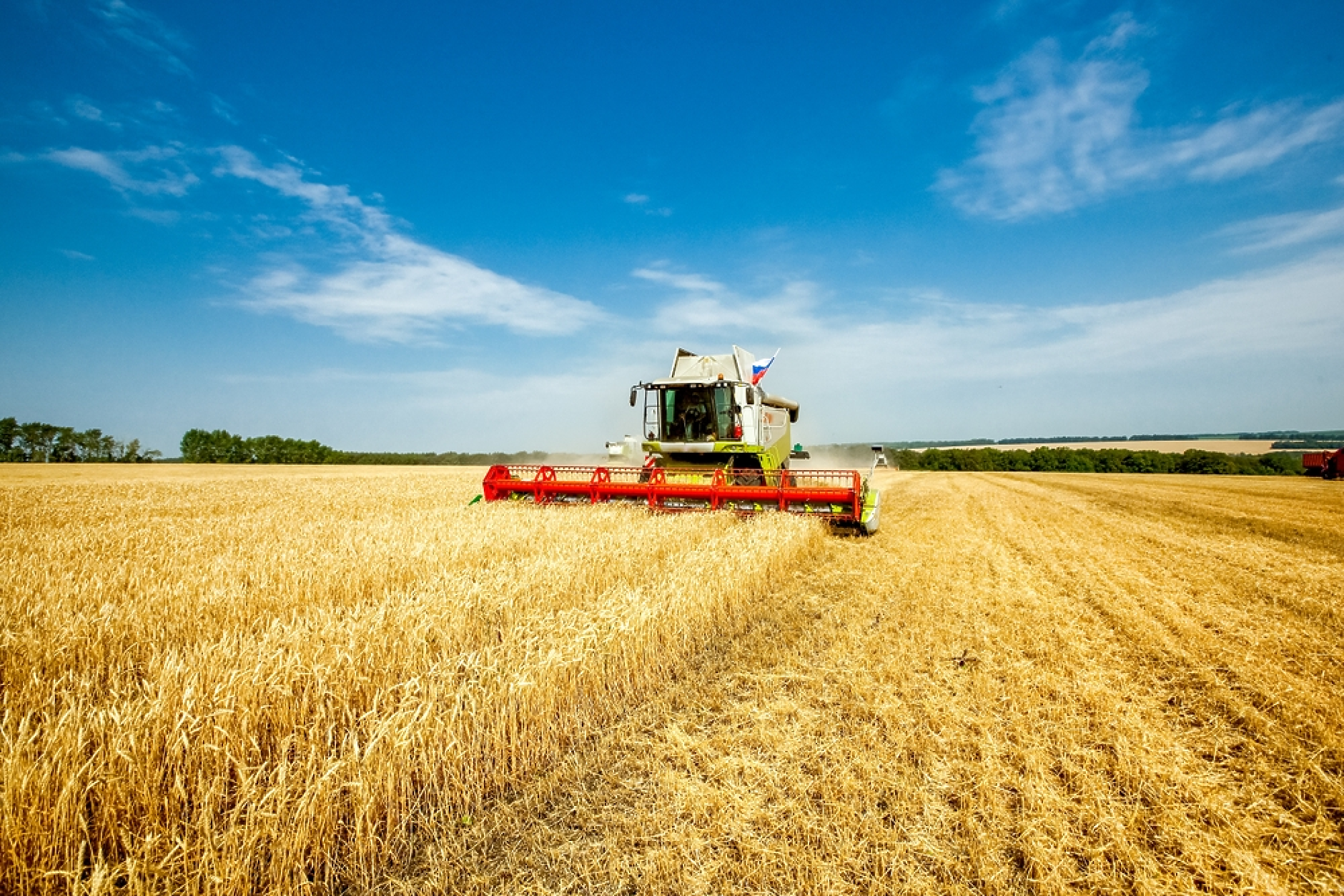Сушата е намалила добива на зърнени култури в ЕС през 2022 г. 