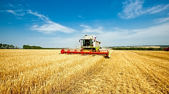 През 2022 г приблизително 270 9 млн  тона зърнени култури са били