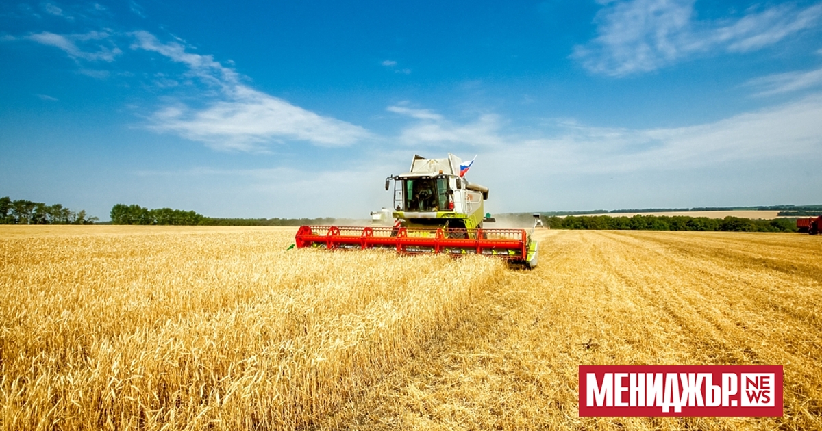 През 2022 г. приблизително 270,9 млн. тона зърнени култури са били