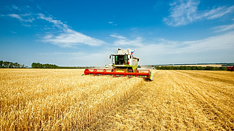 Сушата е намалила добива на зърнени култури в ЕС през 2022 г. 