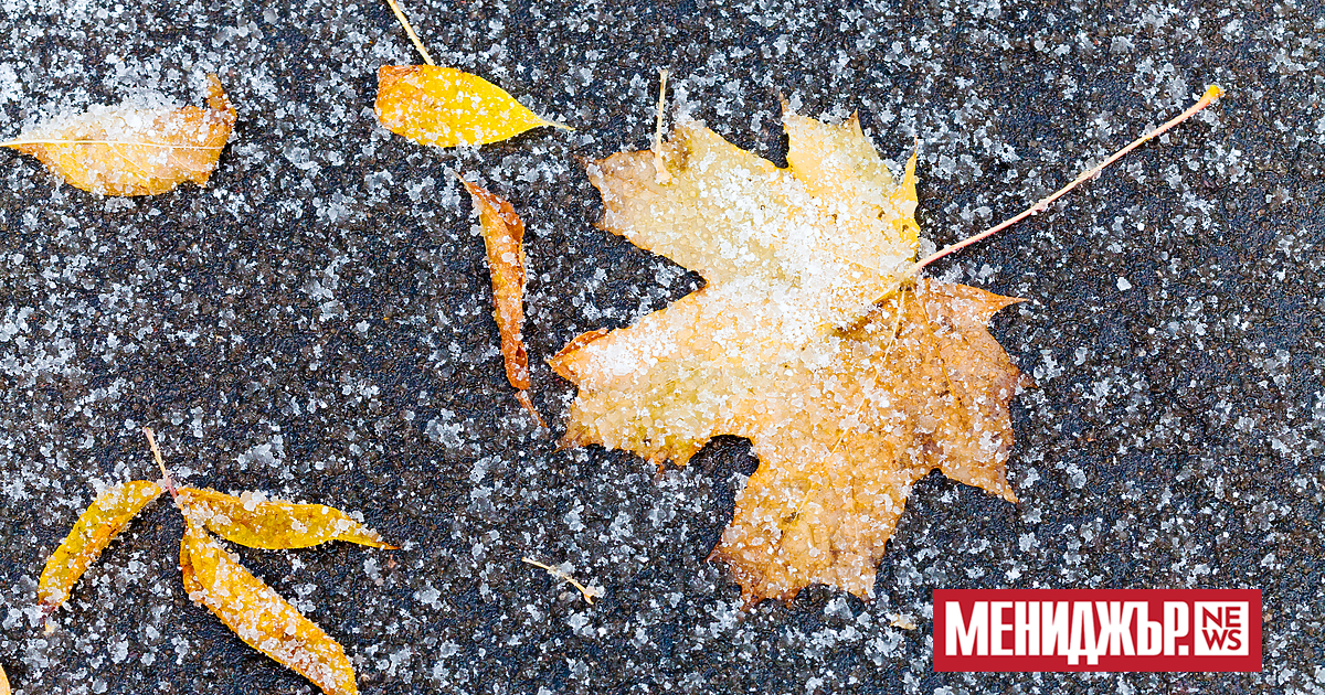 Студена и с валежи ще бъде тази събота. Преди обяд