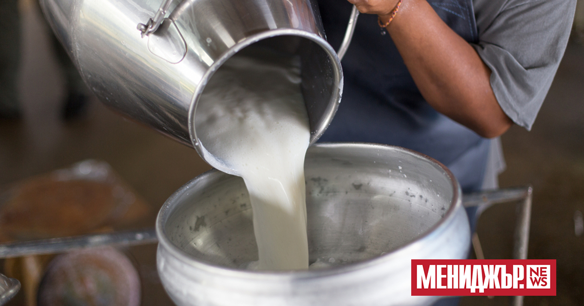 През 2022 г. фермите в страните от Европейския съюз (ЕС) са