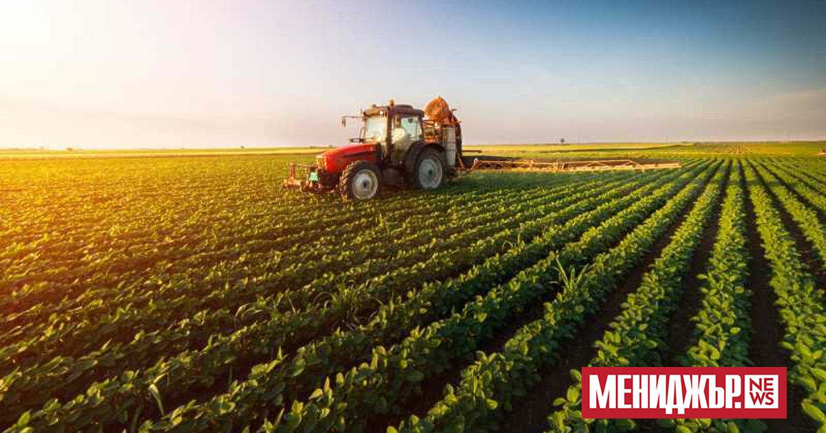 От днес до 1-ви декември земеделците могат да подават заявления