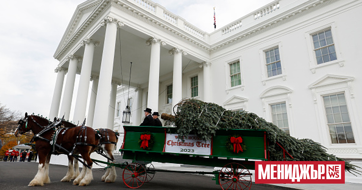 Официалната коледна елха на Белия дом от 2023 г. пристигна