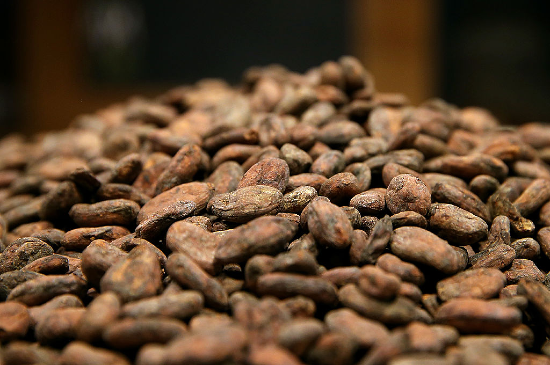 Какаото достига цени, невиждани от 45 години, след като болест по дърветата застрашава реколтата