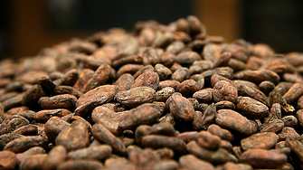 Цената на какаото се повиши рязко и заплашва коледния период