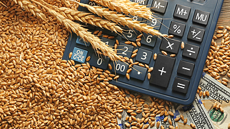 Цените на основните зърнени стоки на световните борси се движат