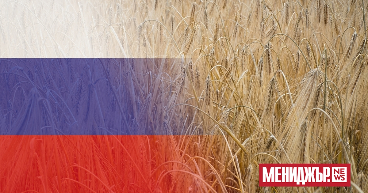 Руското правителство наложи забрана за износ на твърда пшеница от