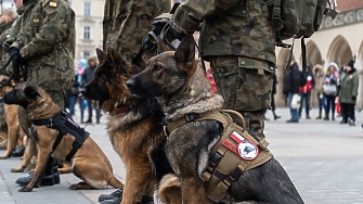 Служебните кучета в полските въоръжени сили ще получат военни звания
