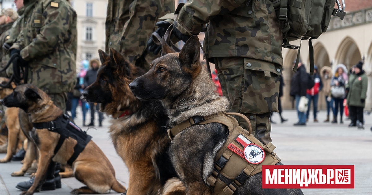 Служебните кучета в полските въоръжени сили ще получат военни звания.