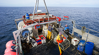 Норвегия ще прекрати трансграничния риболов в протока Скагерак ​​от 2024