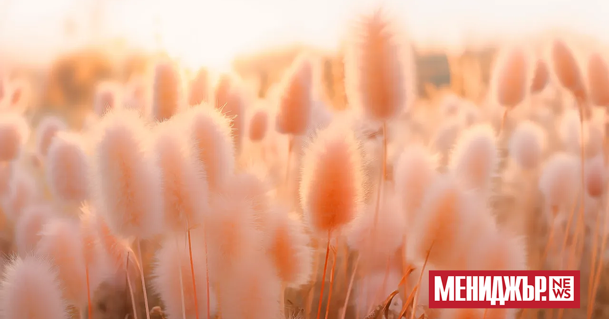 Топлина, уют, спокойствие, близост - време е да се обърнем