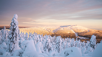 Температурен рекорд на века беше регистриран тази нощ във Финландия