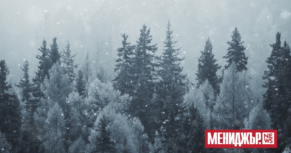 Днес вятърът ще се ориентира от северозапад, в североизточните райони