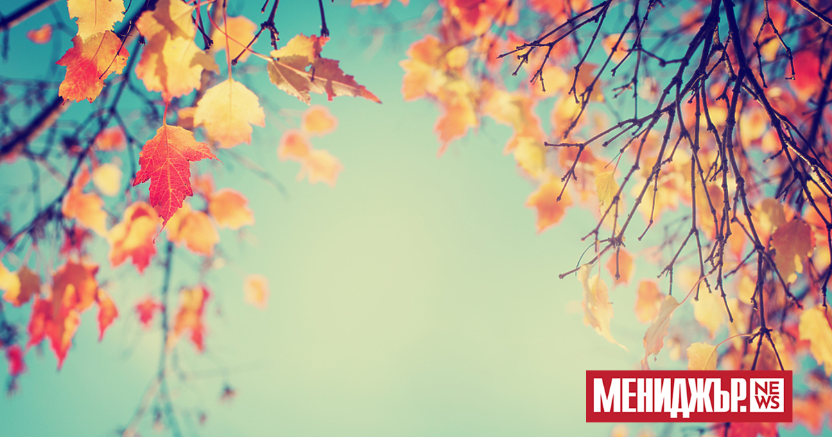 Необичайното усещане за пролет по никое време продължава и днес.