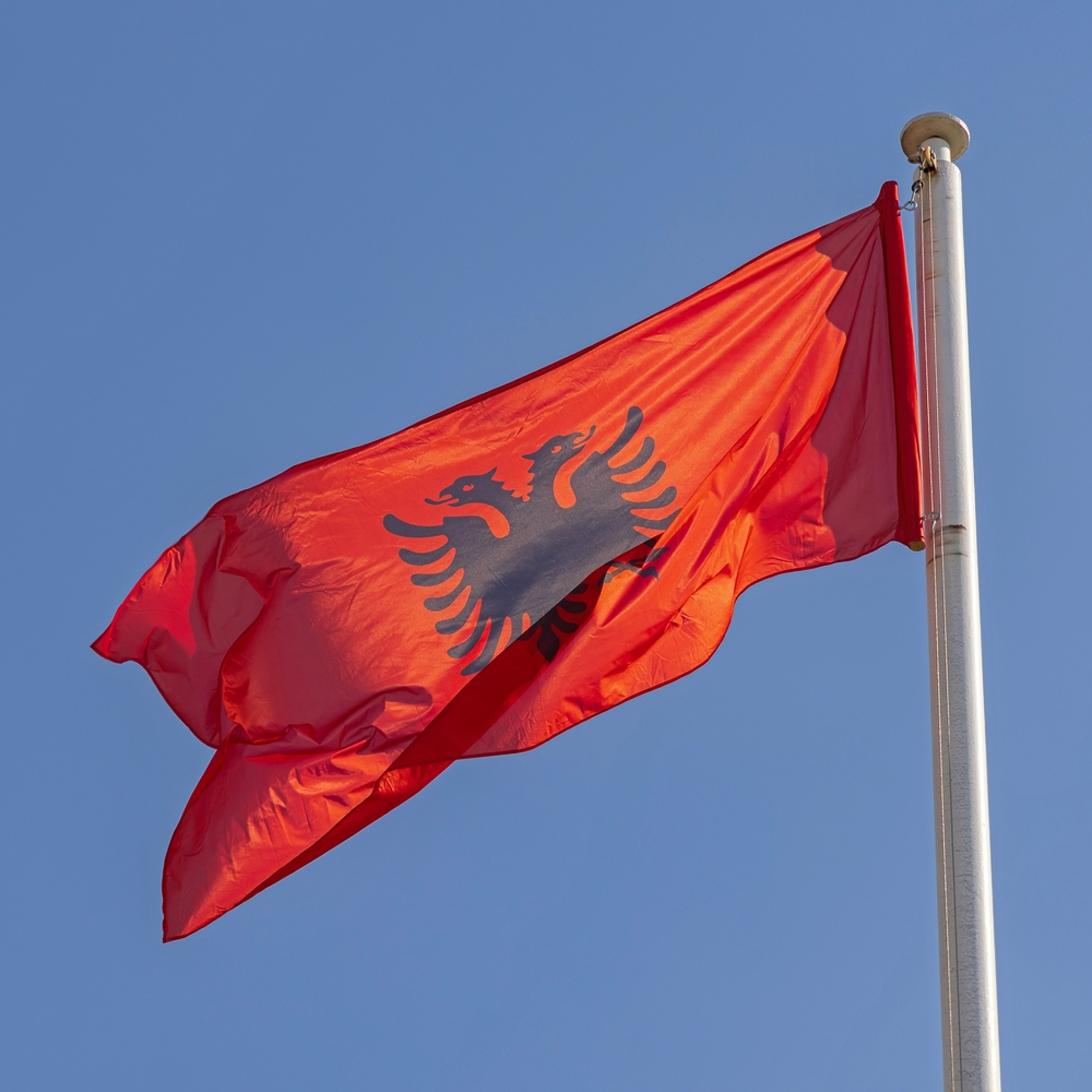 Новият посланик на Албания във Велкобритания се оказа бивш нелегален имигрант