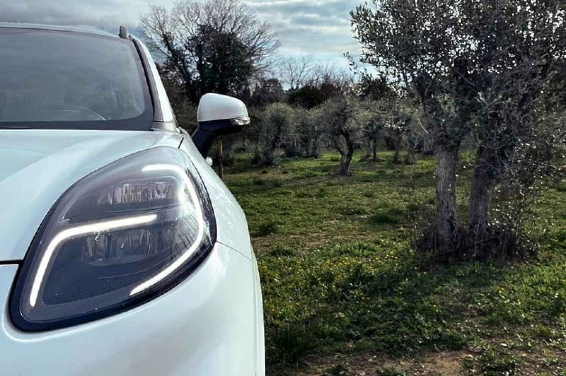  Ford  тества  производство на  части за автомобили от маслинови дървета