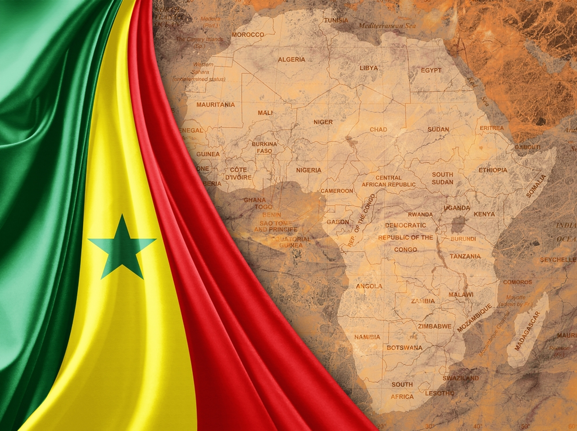 Конституционният съвет на Сенегал допусна 20 кандидати до президентските избори следващия месец
