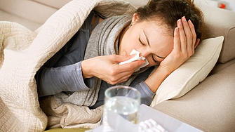 От днес е обявена грипна епидемия в областите Габрово и Пловдив