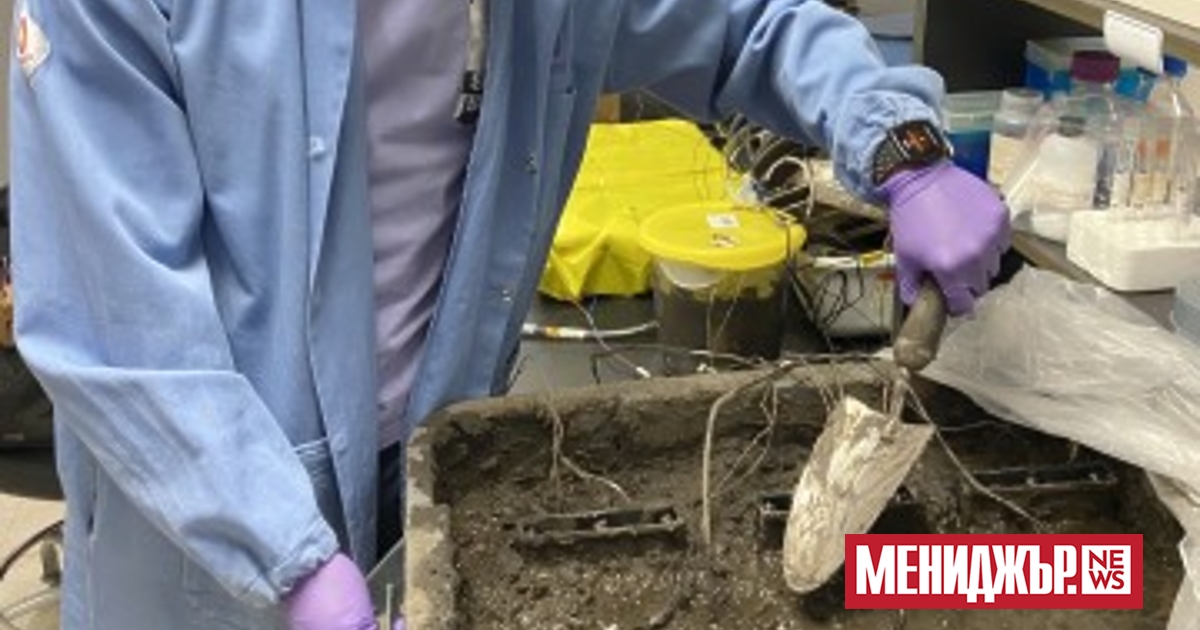 Екип от учени от Северозападния университет в САЩ разработи дизайн