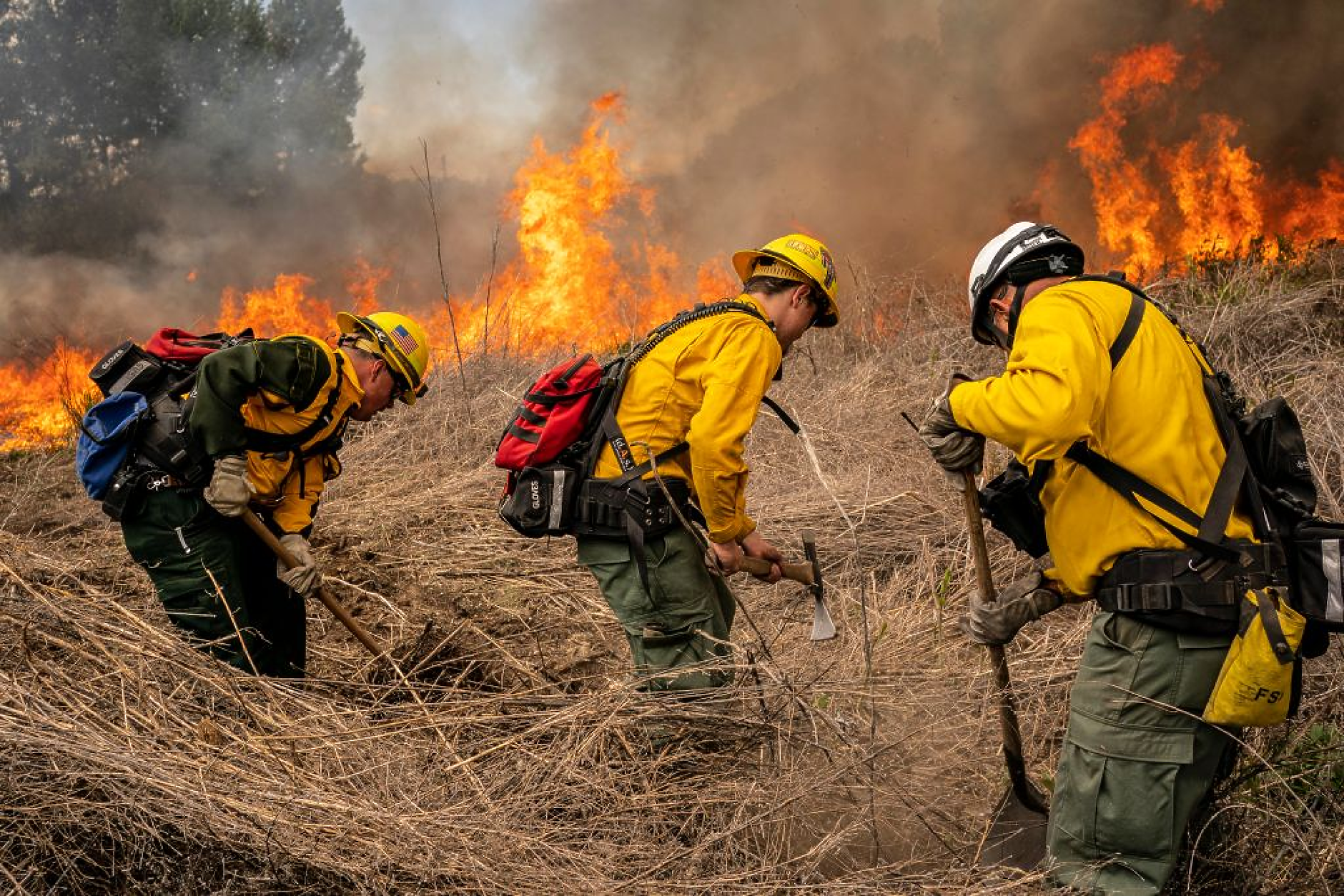 Извънредно положение в Чили заради големи горски пожари
