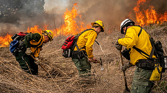 Извънредно положение в Чили заради големи горски пожари