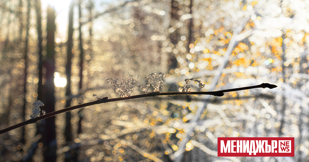 Слънчево и топло ще бъде времето и днес. Ще духа слаб,