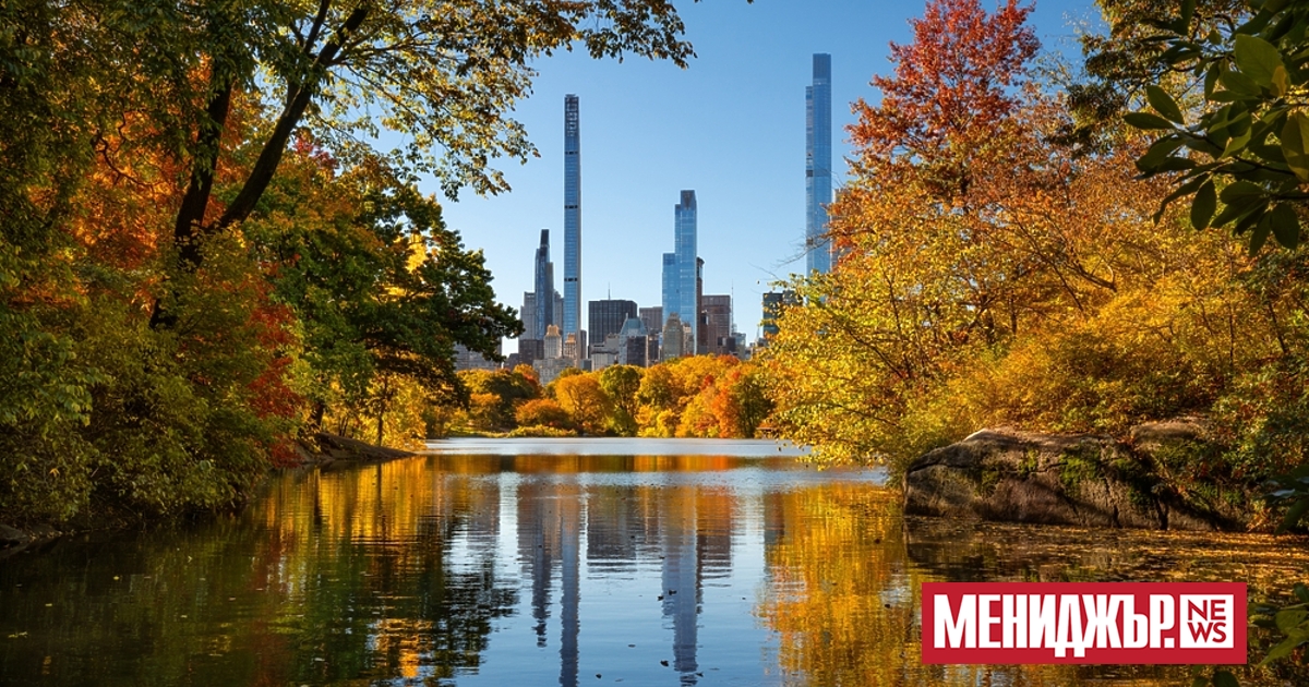 Собствениците на комплекс с къща и парцел от около 3,6