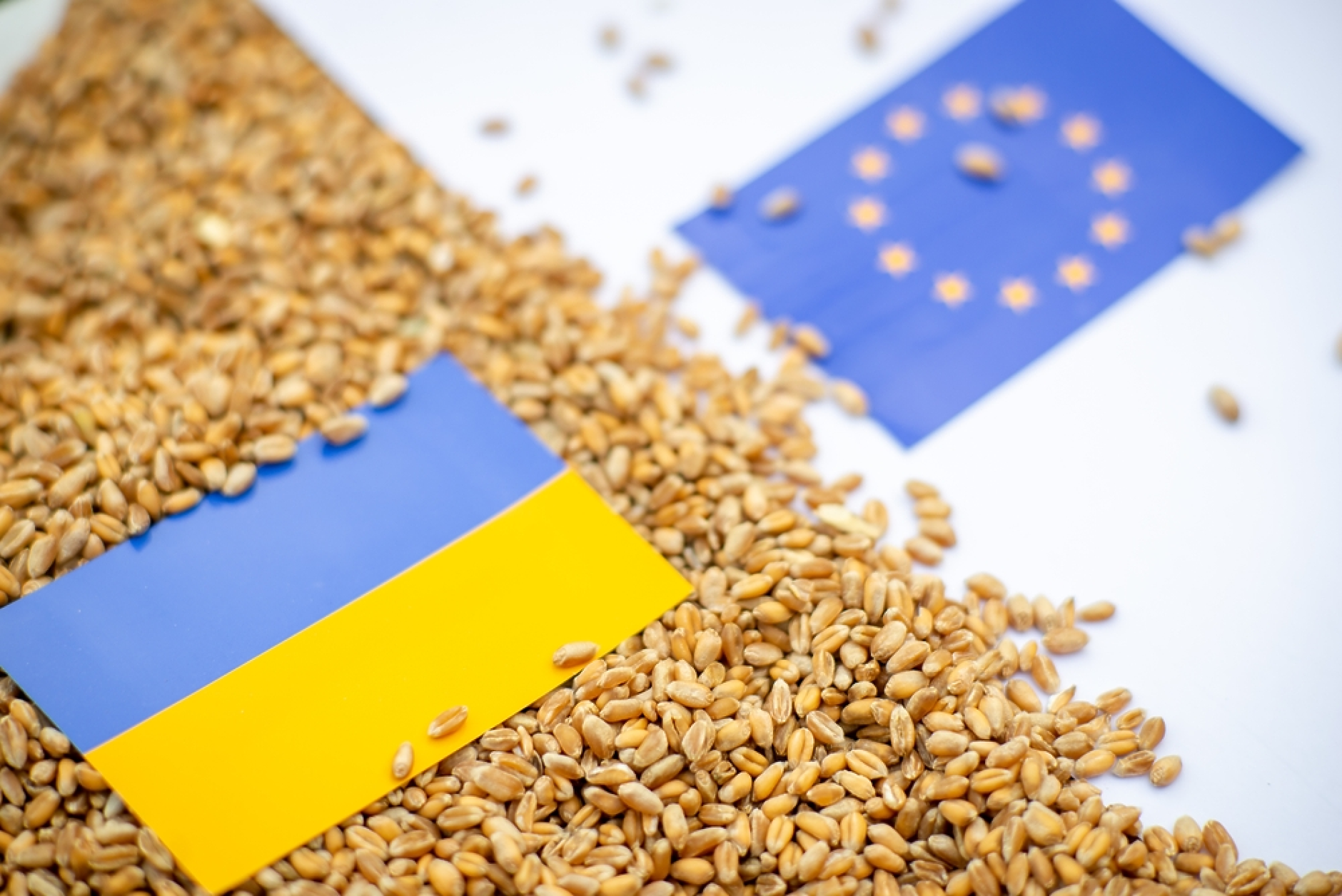 Марчел Чолаку: Украинската селскостопанска продукция няма да остава в Румъния