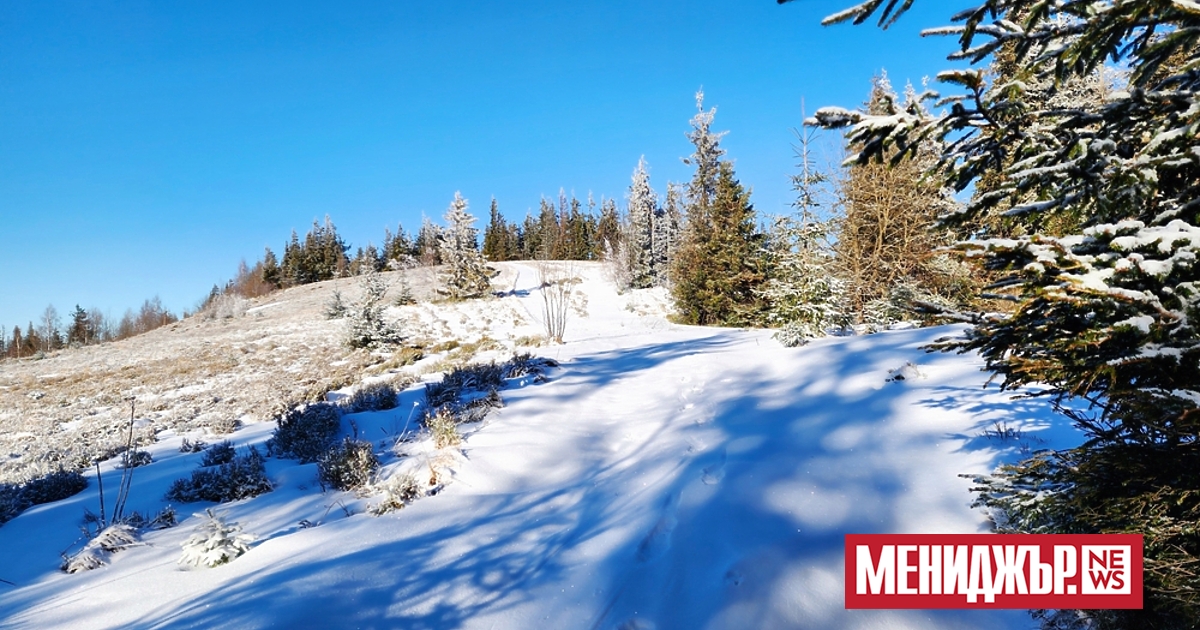 Още един слънчев и сравнително топъл февруарски ден ни очаква.