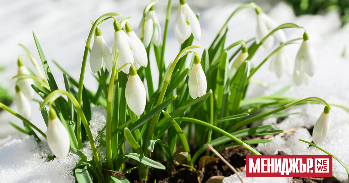 Продължава серията от топли пролетни дни през февруари. Денят ще
