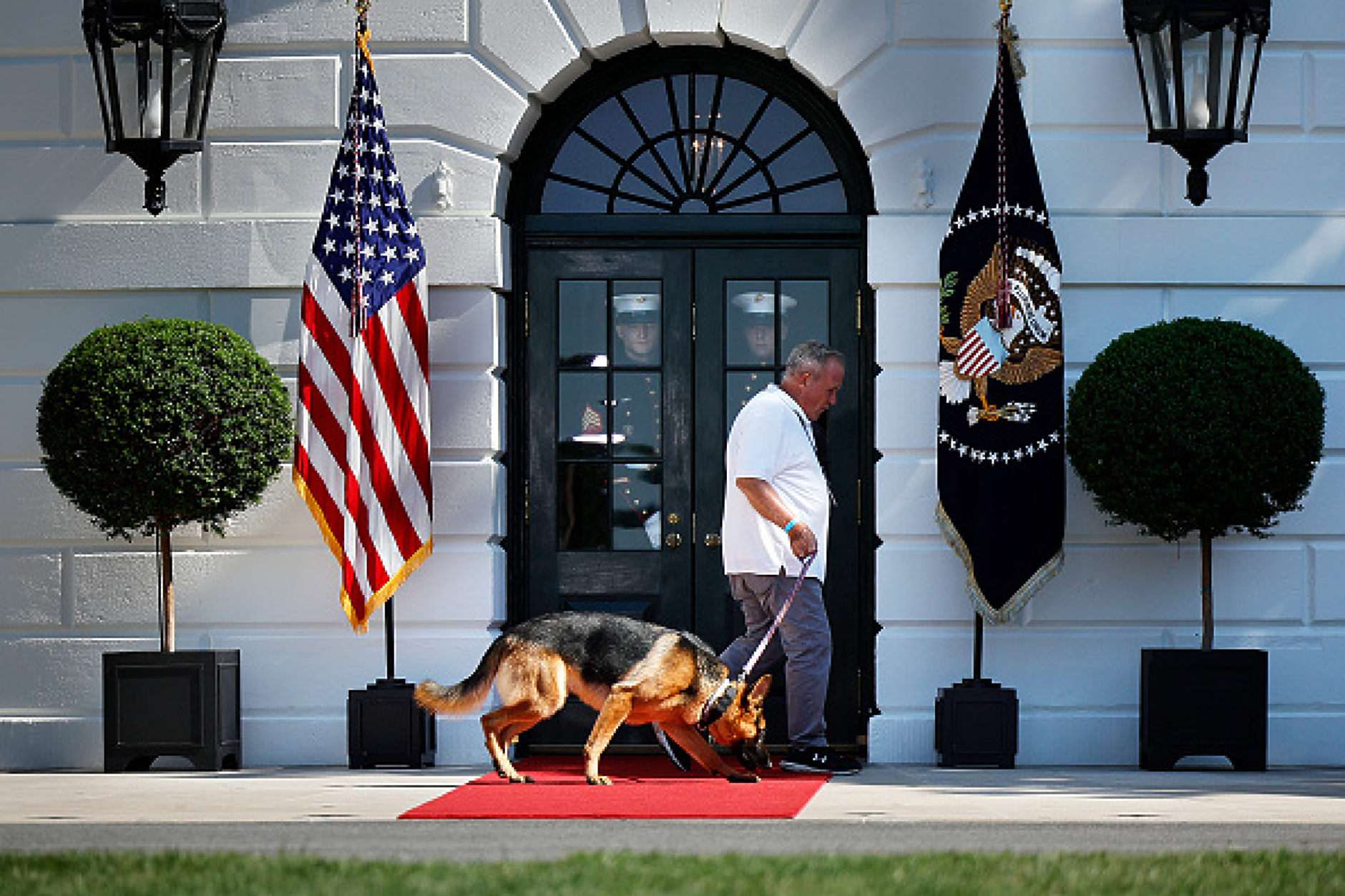 Агенти на Secret Service подават сигнали срещу кучето на Байдън, ухапало ги поне 24 пъти