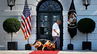 Кучето на американския президент Джо Байдън многократно е нападало служители