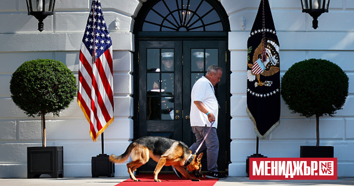 Кучето на американския президент Джо Байдън многократно е нападало служители