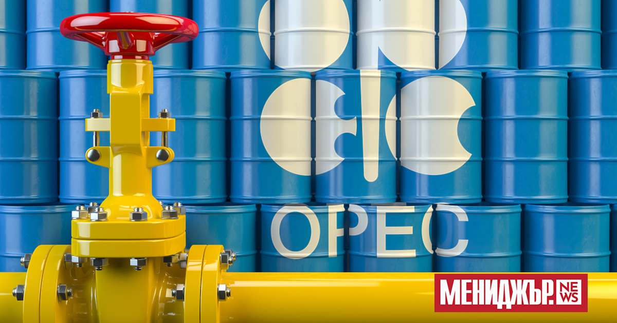 Организацията на страните износителки на петрол (ОПЕК) и Международната агенция по